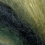 forest 010