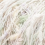 006 pastel