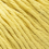 mustard 003