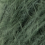 061
